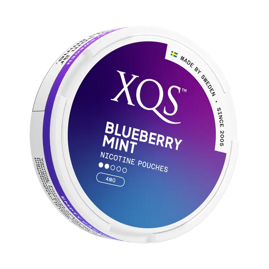 4 MG XQS Blueberry Mint