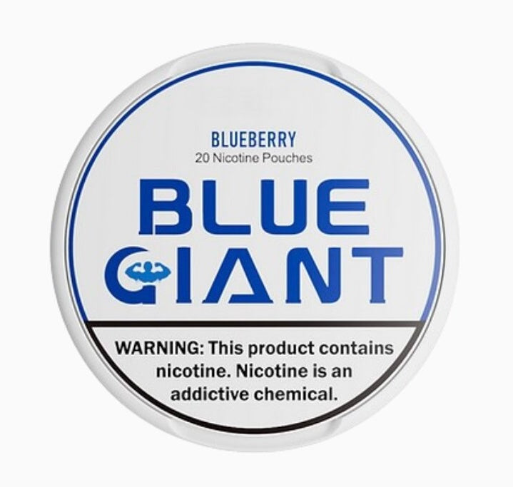 6 MG Blue Giant Blueberry