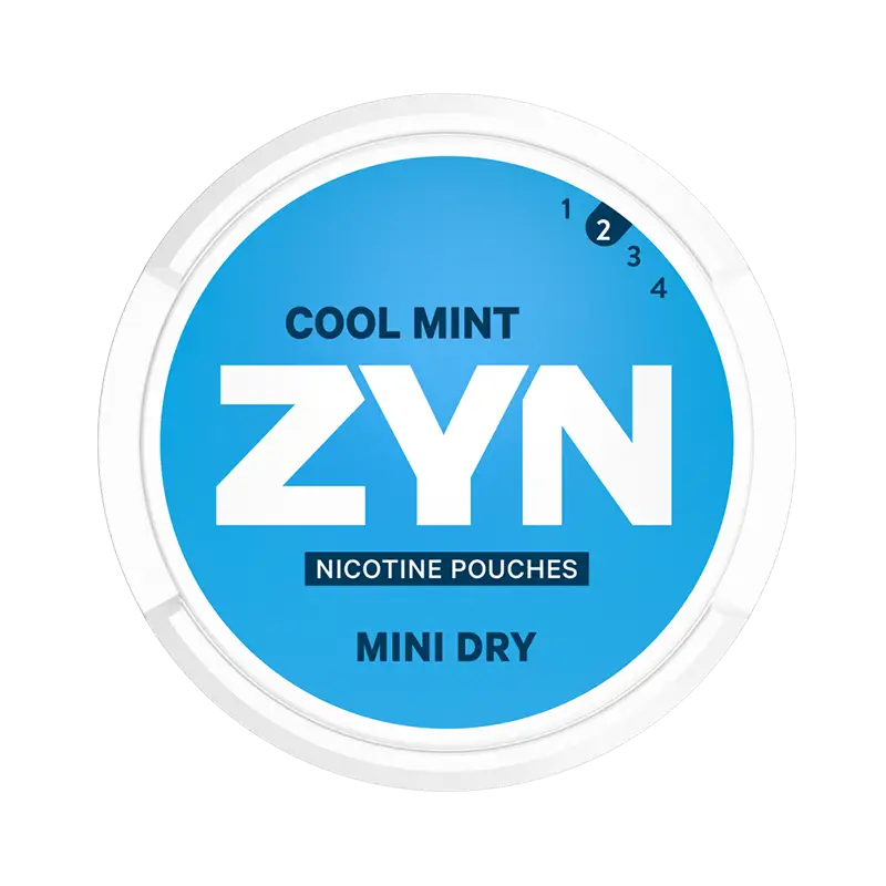 3 MG ZYN Cool Mint Mini Dry